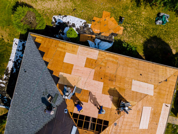 Best Roof Gutter Cleaning  in Perryville, MO