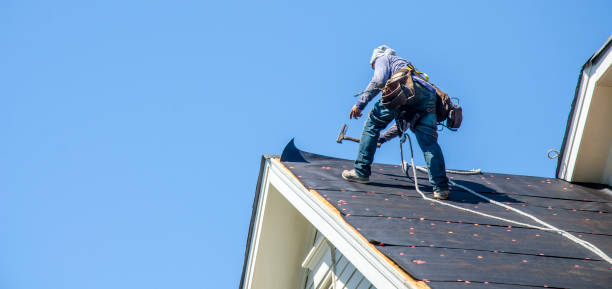 Roof Gutter Cleaning in Perryville, MO